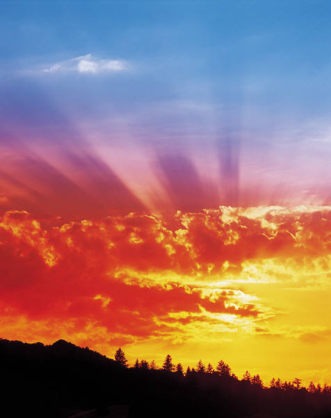 sun rise